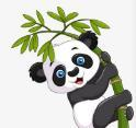 撸撸社下载APP应用